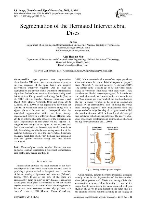 (PDF) Segmentation of the Herniated Intervertebral Discs | Ajaz Mir ...
