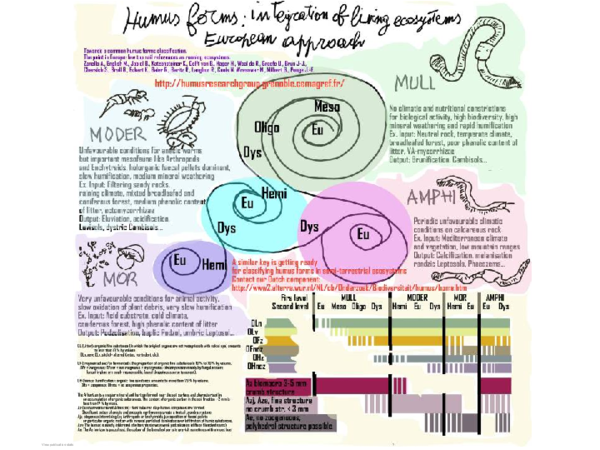 (PDF) Towards a common humus form classification, a first European ...