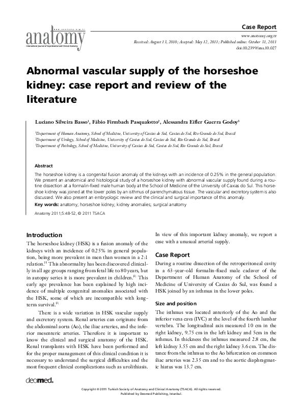 (PDF) Abnormal vascular supply of the horseshoe kidney case report and