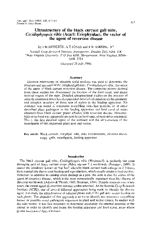 (PDF) Ultrastructure of the black currant gall mite, Cecidophyopsis ...