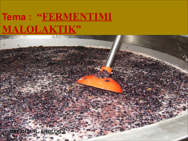 (PPT) FERMENTIMI MALOLAKTIK . J.K
