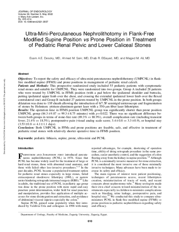 (PDF) Ultra-Mini-Percutaneous Nephrolithotomy in Flank-Free Modified ...