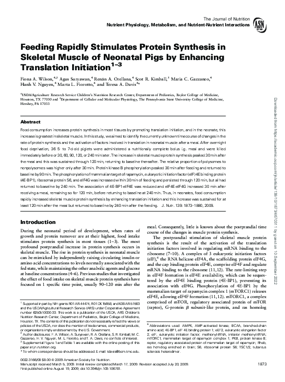 (PDF) Feeding Rapidly Stimulates Protein Synthesis in Skeletal Muscle ...