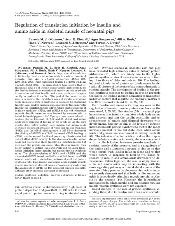 (PDF) Regulation of translation initiation by insulin and amino acids ...
