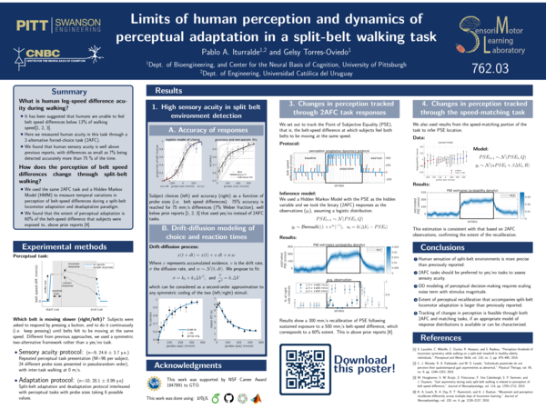 (PDF) Limits of human perception and dynamics of perceptual adaptation ...