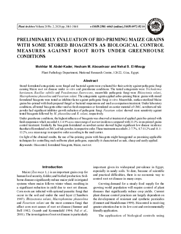 (PDF) Preliminarily Evaluation of Bio-Priming Maize Grains with Some ...