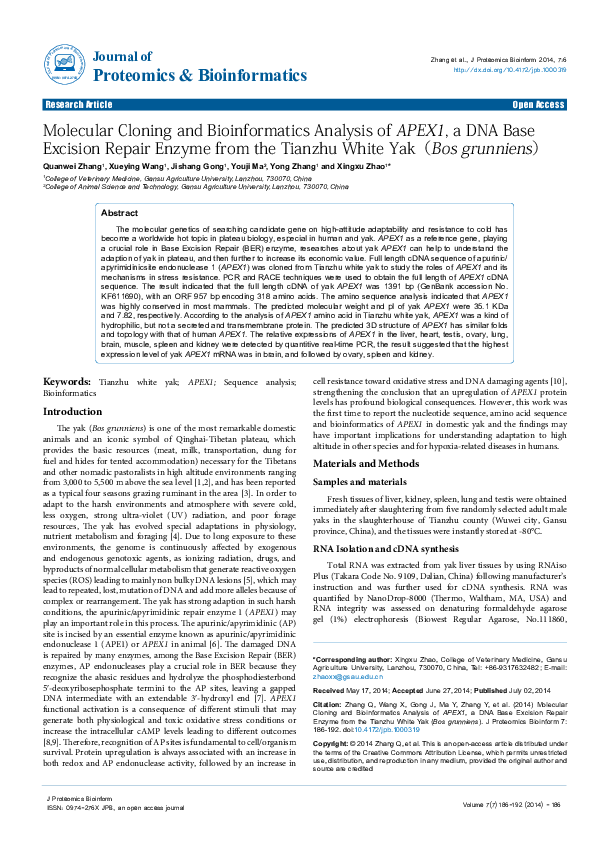 (PDF) Molecular cloning and bioinformatics analysis of a novel spliced ...