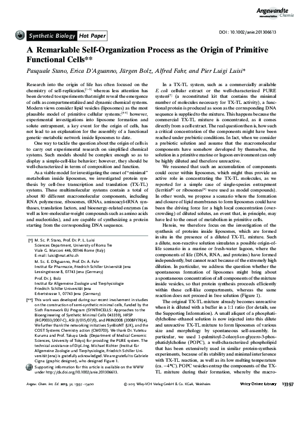(PDF) A Remarkable Self-Organization Process as the Origin of Primitive ...