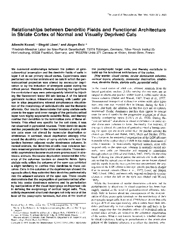 (PDF) Relationships between dendritic fields and functional ...