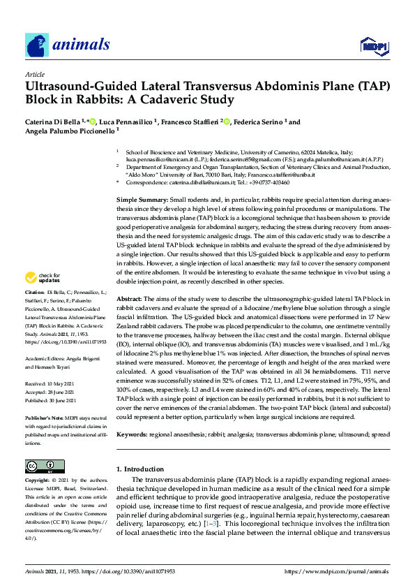 (PDF) Ultrasound-Guided Lateral Transversus Abdominis Plane (TAP) Block ...