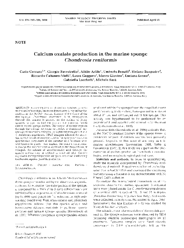 (PDF) Calcium Oxalate in Chondrosia Reniformis