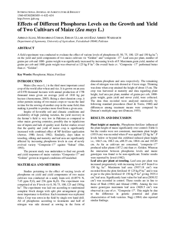 (PDF) Effects of Different Phosphorus Levels on the Growth and Yield of ...