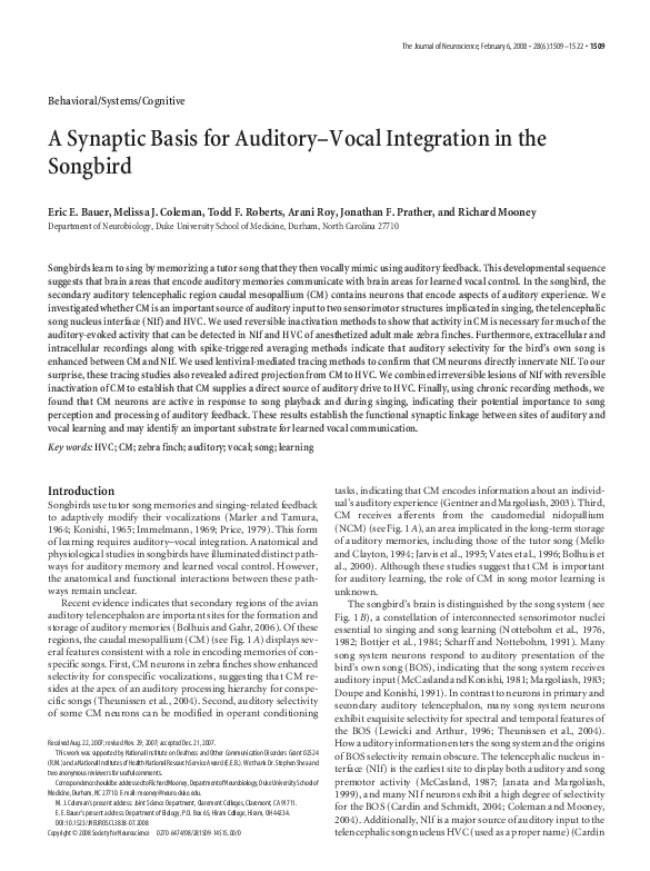 (PDF) A Synaptic Basis for Auditory-Vocal Integration in the Songbird