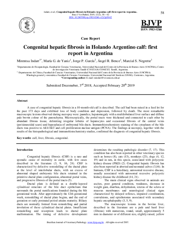 (PDF) Congenital hepatic fibrosis in Holando Argentino calf: first ...