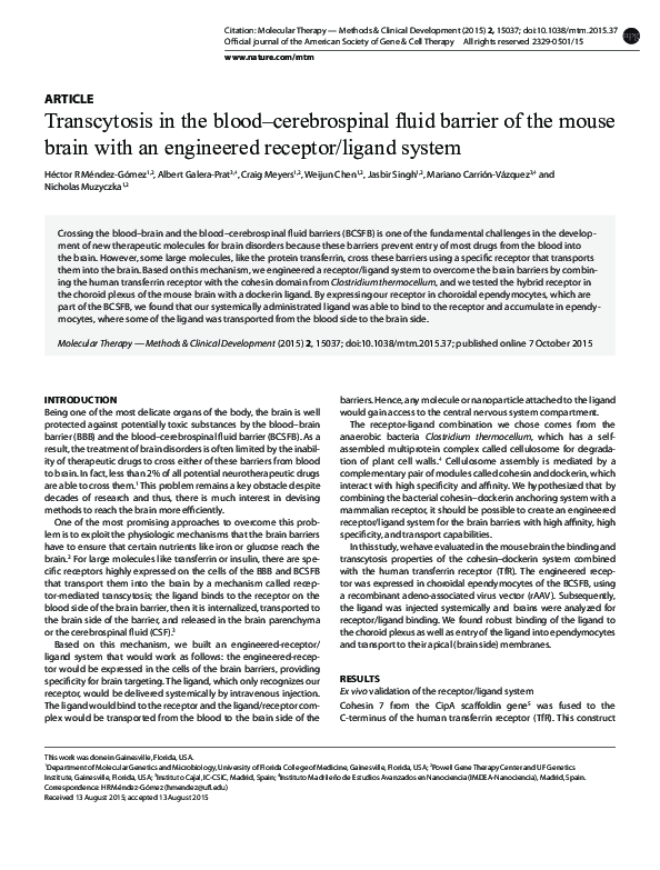 (PDF) Transcytosis in the blood–cerebrospinal fluid barrier of the ...
