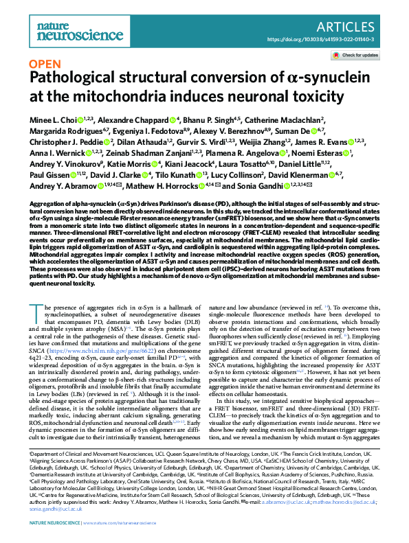 (PDF) Pathological structural conversion of α-synuclein at the ...