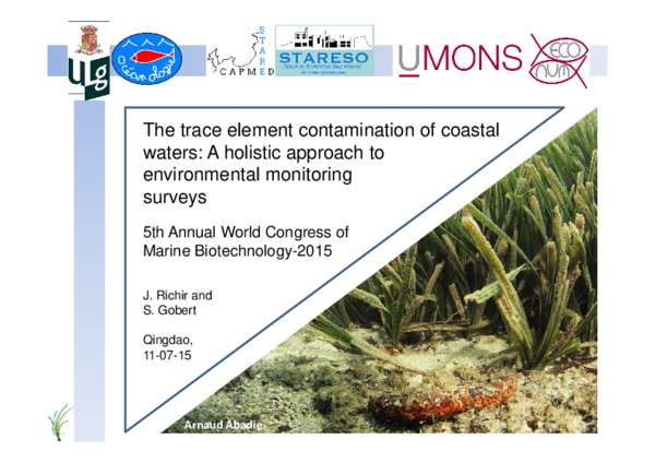 (PDF) The trace element contamination of coastal waters: A holistic ...