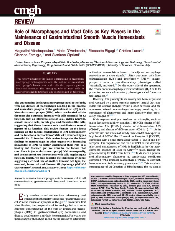 (PDF) Role of Macrophages and Mast Cells as Key Players in the ...
