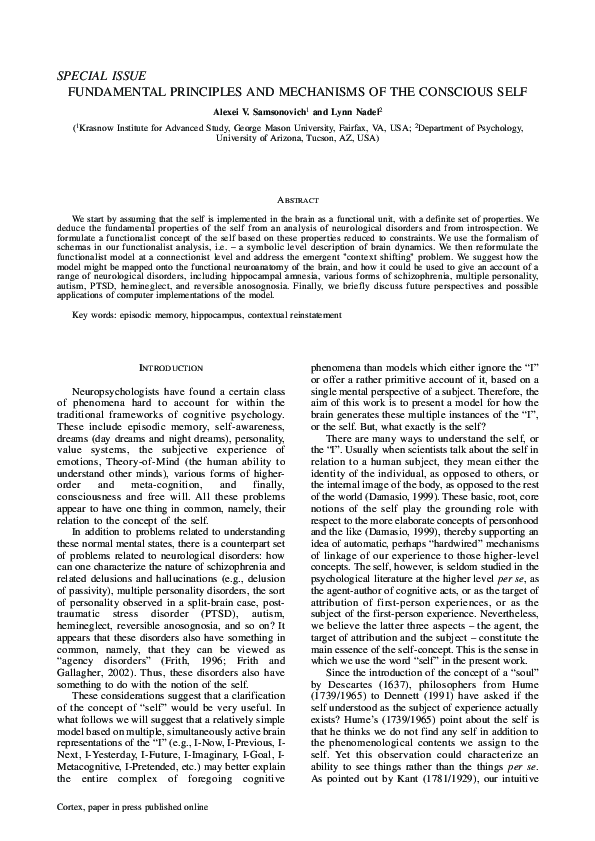(PDF) Fundamental Principles and Mechanisms of the Conscious Self