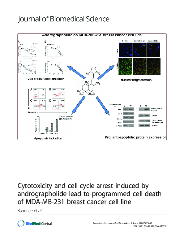 (PDF) Cytotoxicity and cell cycle arrest induced by andrographolide ...
