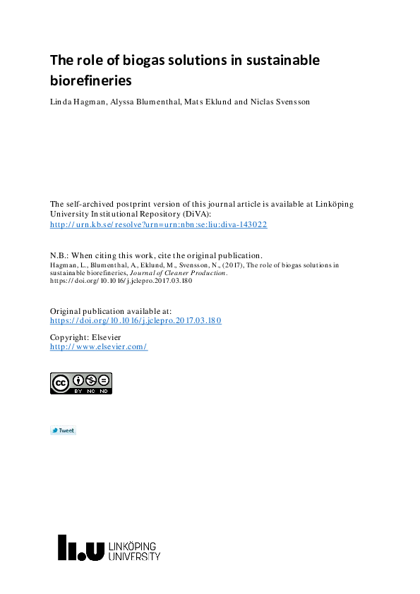 (PDF) The role of biogas solutions in sustainable biorefineries