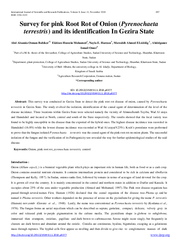 (PDF) Survey for pink Root Rot of Onion (Pyrenochaeta terrestris) and ...