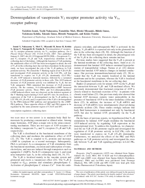 (PDF) Downregulation of vasopressin V2receptor promoter activity via ...