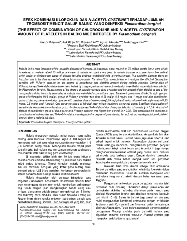 (PDF) EFEK KOMBINASI KLOROKUIN DAN N-ACETYL CYSTEINETERHADAP JUMLAH ...