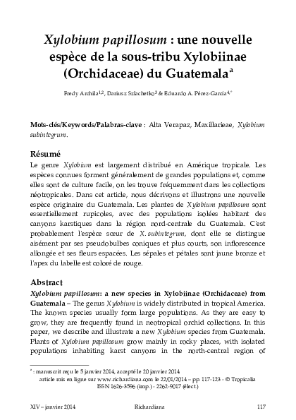 Xylobium papillosum: une nouvelle espèce de la sous-tribu Xylobiinae (Orchidaceae) du Guatemala