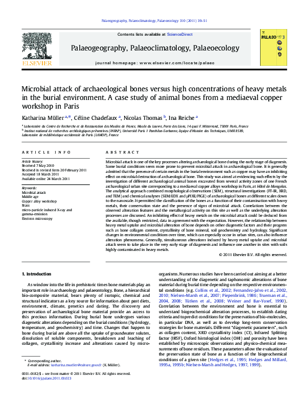 (PDF) Microbial attack of archaeological bones versus high ...