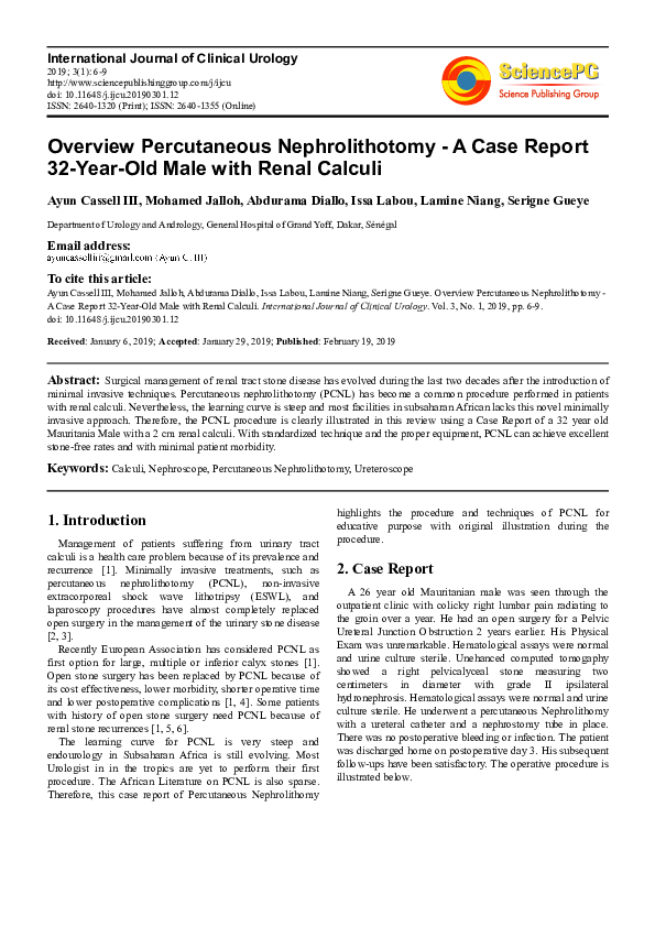 (PDF) Overview Percutaneous Nephrolithotomy - A Case Report 32-Year-Old ...