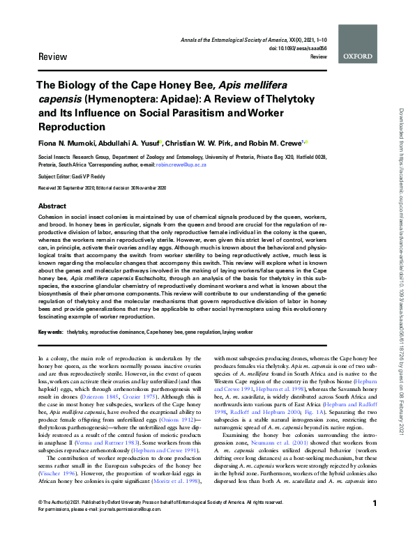 (PDF) The Biology of the Cape Honey Bee, Apis mellifera capensis ...