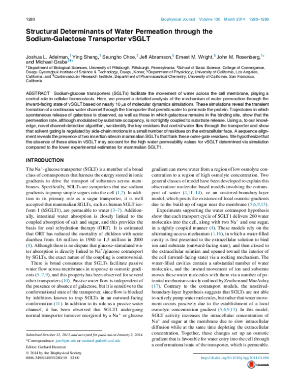 (PDF) Structural Determinants of Water Permeation through the Sodium ...