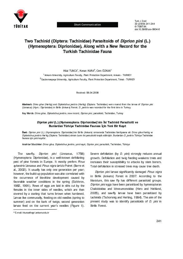 (PDF) Two Tachinid (Diptera: Tachinidae) Parasitoids of Diprion pini (L ...