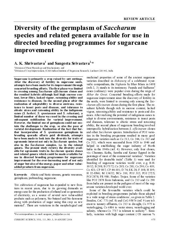 (PDF) Diversity of the Germplasm of Saccharum Species and Related ...