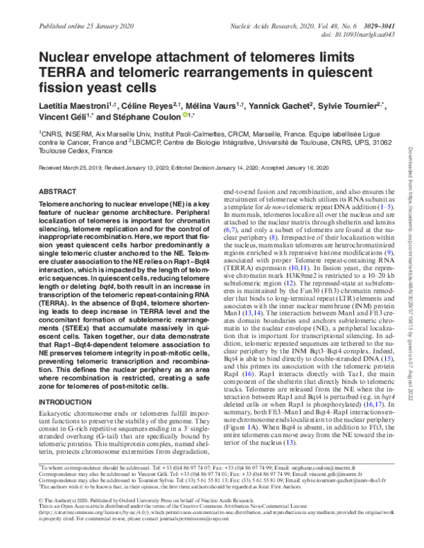 (PDF) Nuclear envelope attachment of telomeres limits TERRA and ...