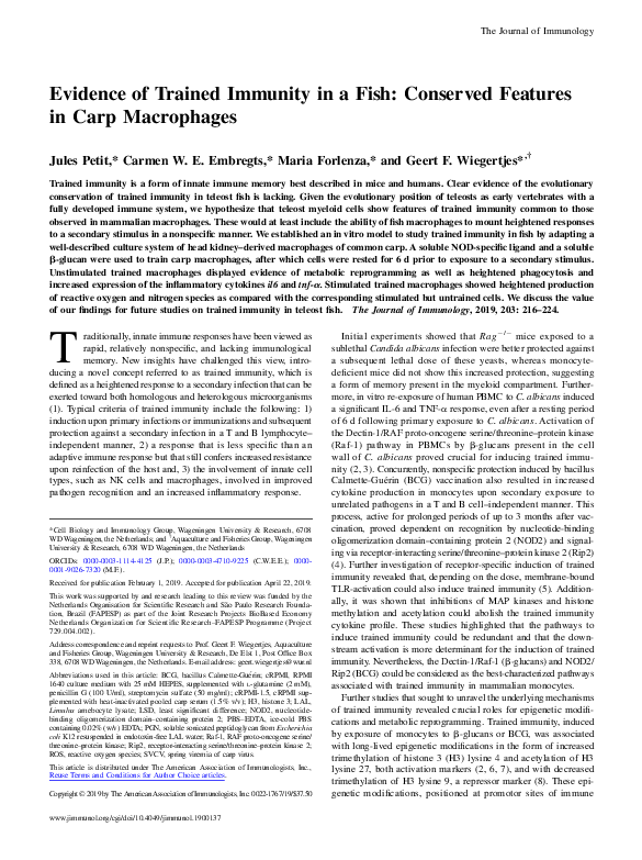 (PDF) Evidence of Trained Immunity in a Fish: Conserved Features in ...