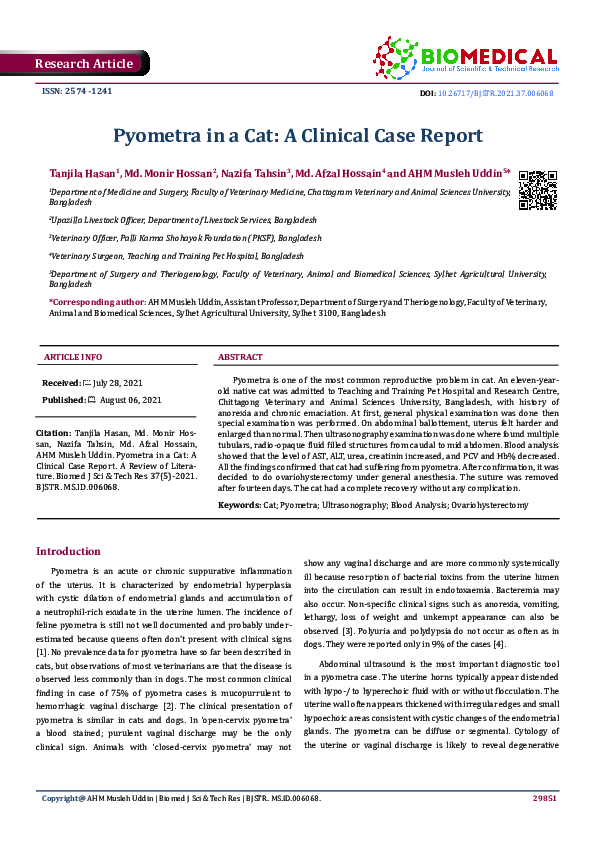 (PDF) Pyometra in a Cat: A Clinical Case Report