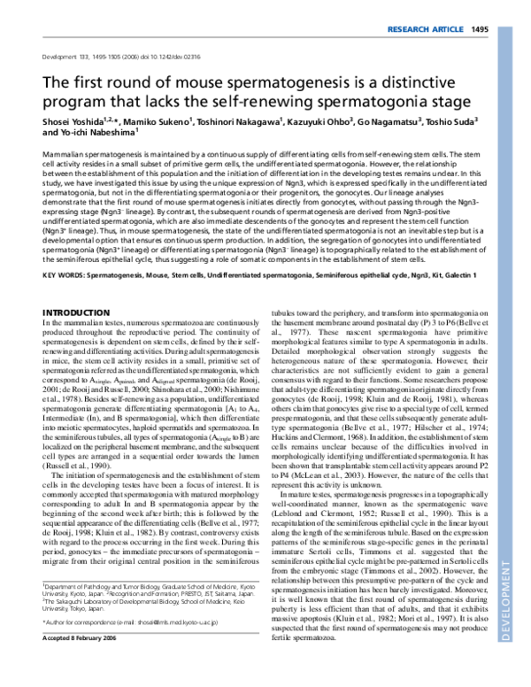 (PDF) The first round of mouse spermatogenesis is a distinctive program ...