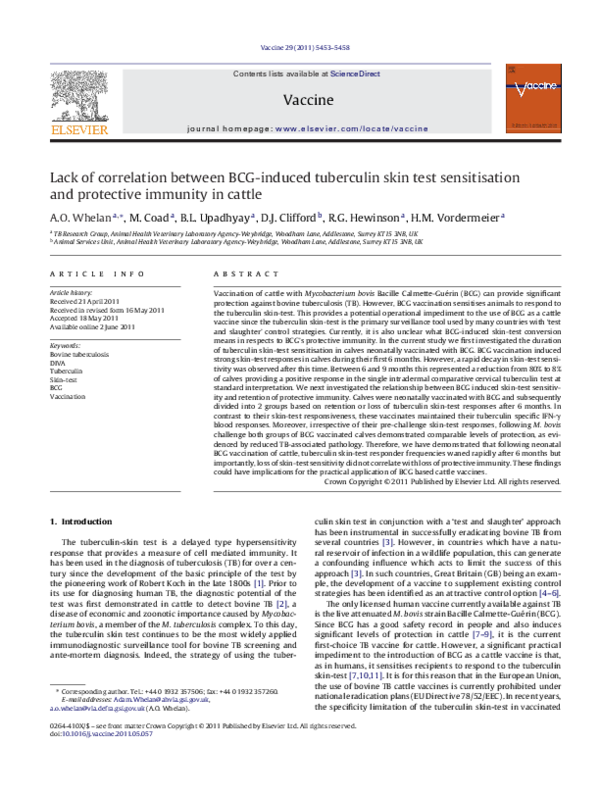 (PDF) Lack of correlation between BCG-induced tuberculin skin test ...