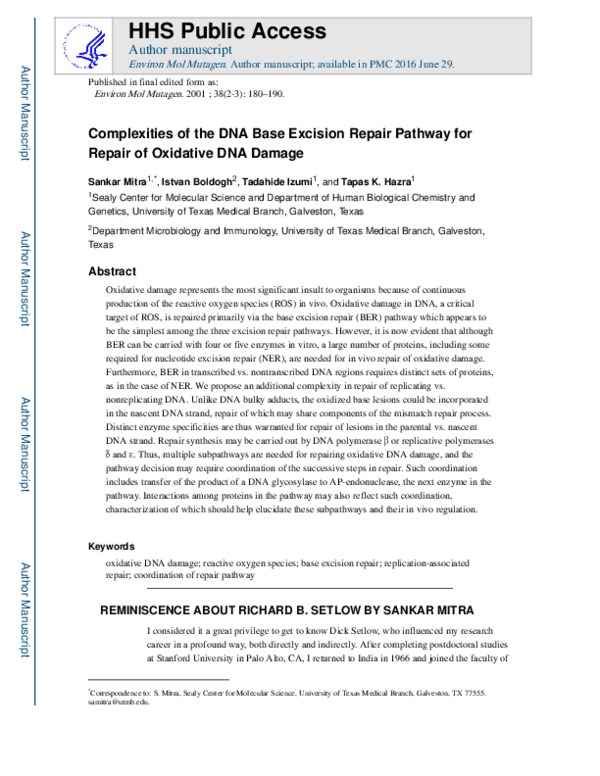 (PDF) Complexities of the DNA base excision repair pathway for repair ...