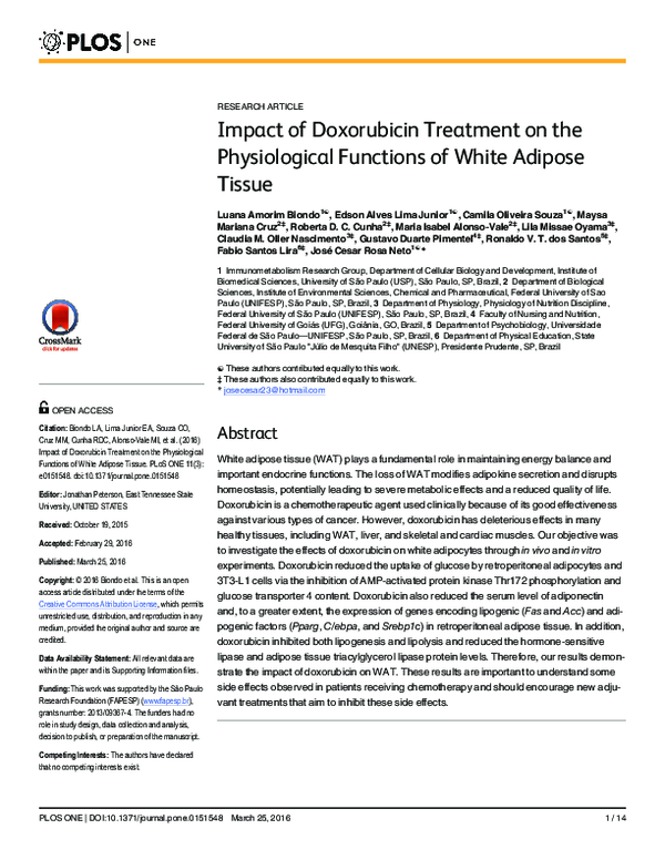 (PDF) Impact of Doxorubicin Treatment on the Physiological Functions of ...