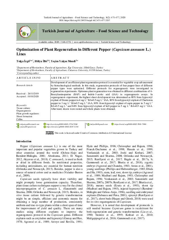 (PDF) Optimization of Plant Regeneration in Different Pepper (Capsicum ...