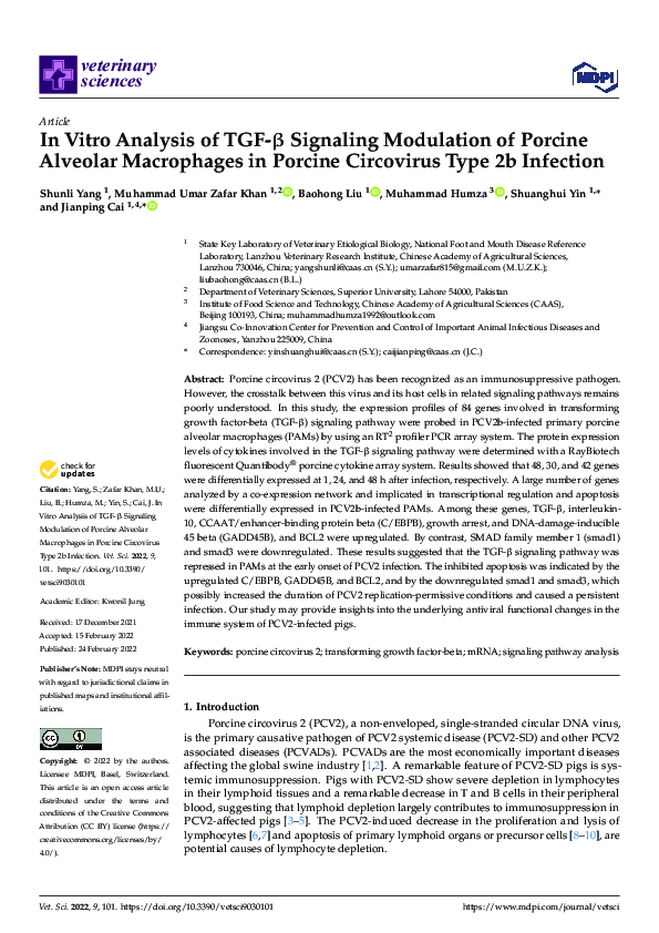 (PDF) In Vitro Analysis of TGF-β Signaling Modulation of Porcine ...
