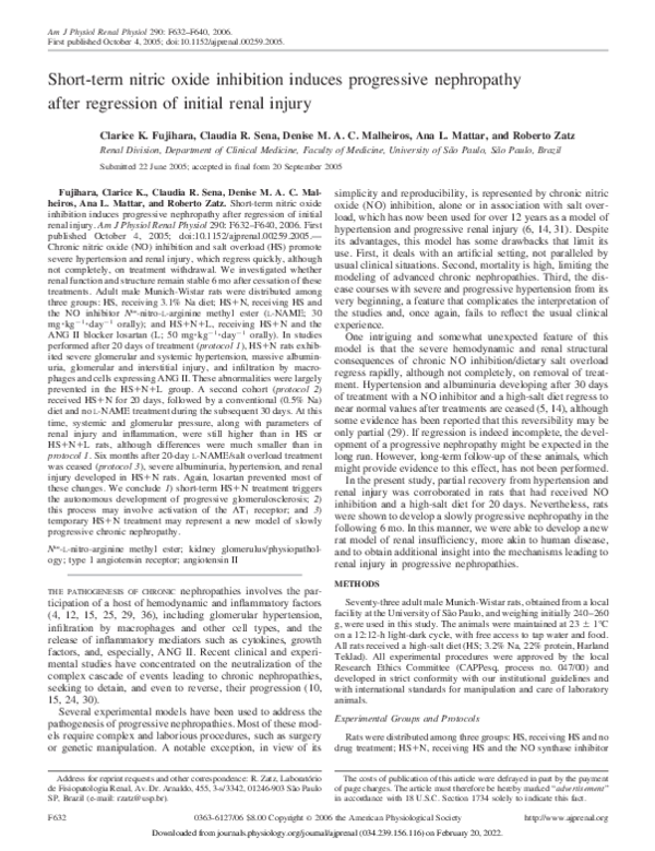 Short-term nitric oxide inhibition induces progressive nephropathy after regression of initial renal injury