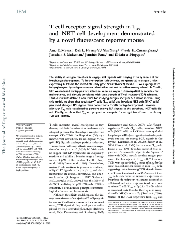 (PDF) T cell receptor signal strength in Treg and iNKT cell development ...