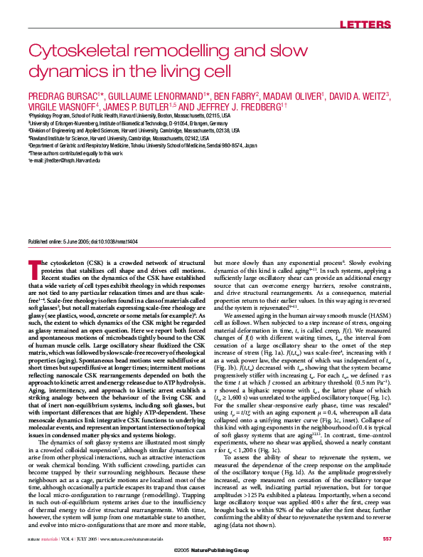 (PDF) Cytoskeletal remodelling and slow dynamics in the living cell