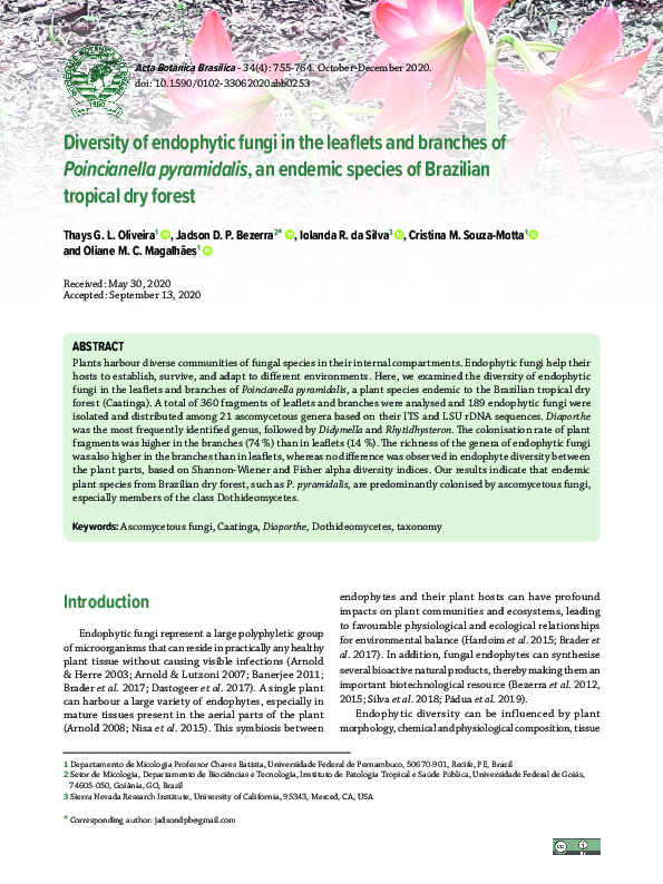 (PDF) Diversity of endophytic fungi in the leaflets and branches of ...