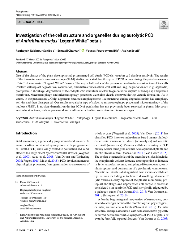 (PDF) Investigation of the cell structure and organelles during ...