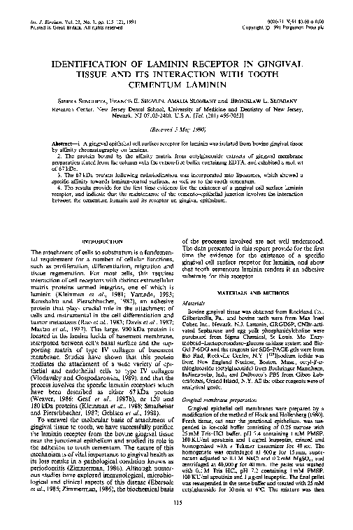 (PDF) Identification of laminin receptor in gingival tissue and its ...